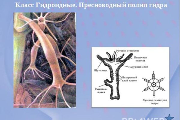 Кракен невозможно зарегистрировать пользователя