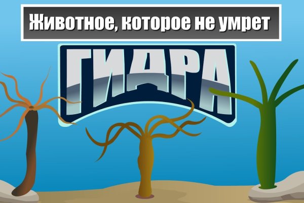 Кракен сайт дарк нет